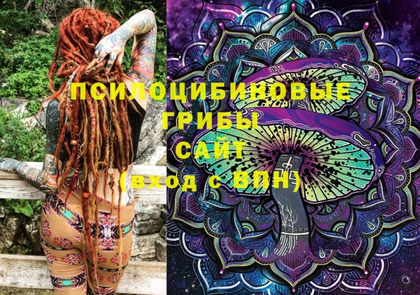 марки lsd Богданович